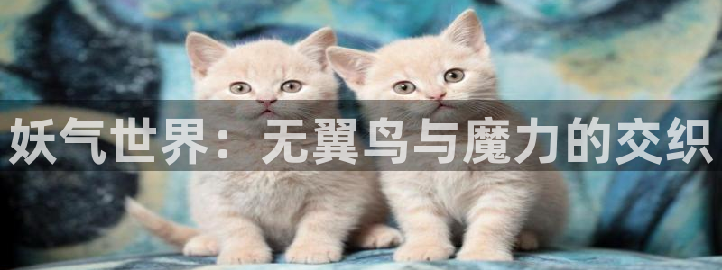 喵趣猫粮好不好
