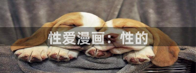 喵趣漫画正版下载