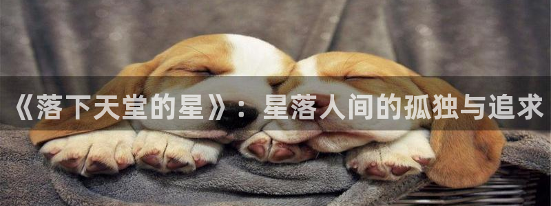 喵趣漫画官方入口在哪里