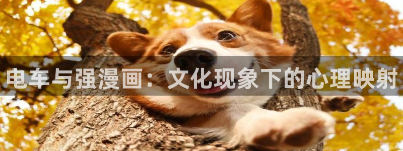 喵趣漫画app下载官网