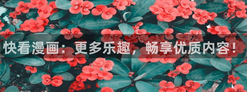 新喵趣漫画：快看漫画：更多乐趣，畅享优质内容！
