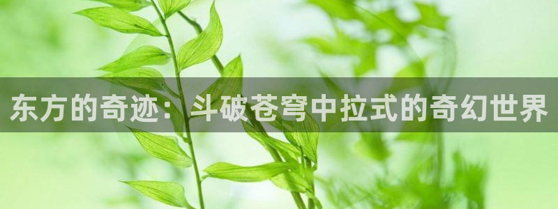 喵趣漫画免费阅读网页：东方的奇迹：斗破苍穹中拉式的奇幻世界
