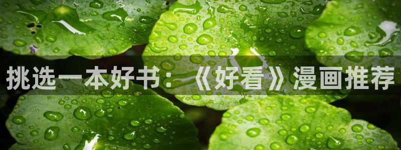 喵趣漫画无广：挑选一本好书：《好看》漫画推荐