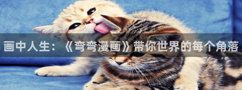 喵趣阅读
