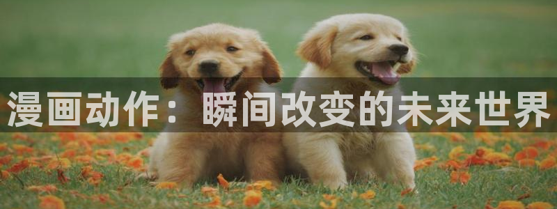 喵趣阁
