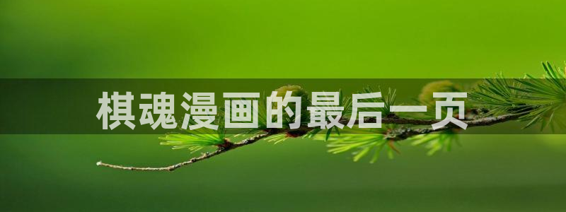 喵趣免费