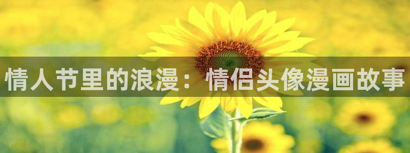 喵趣网页版：情人节里的浪漫：情侣头像漫画故事