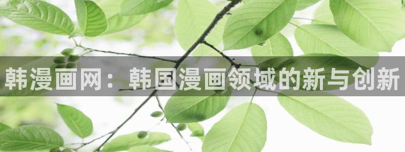 喵趣漫画官方免费版：韩漫画网：韩国漫画领域的新与创新