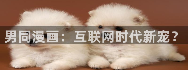 喵趣漫画苹果ios版下载：男同漫画：互联网时代新宠？