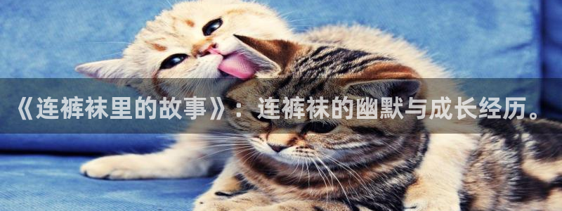 www·喵趣·com：《连裤袜里的故事》：连裤袜的幽默与成长经历。