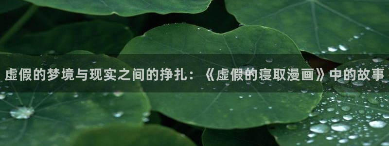www.喵趣.tob：虚假的梦境与现实之间的挣扎：《虚假的寝取漫画》中的故事