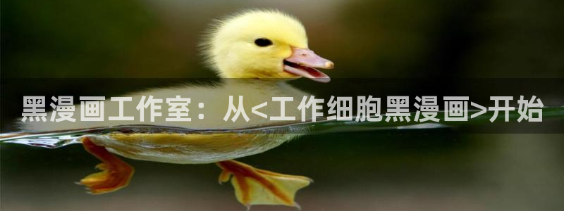 www. 喵趣. top：黑漫画工作室：从<工作细胞黑漫画>开始