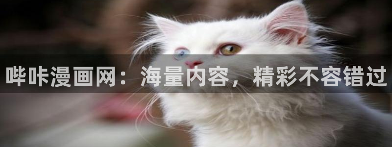 www.喵趣漫画
