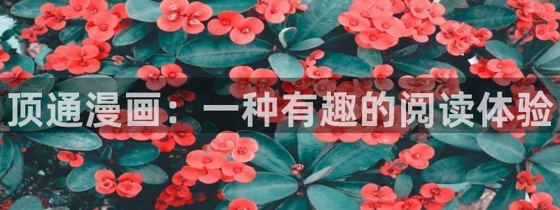 喵趣漫画ios
