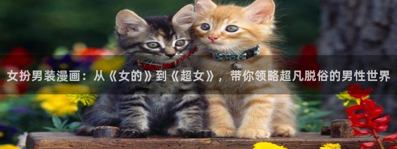 喵趣漫画ios怎么下载安装