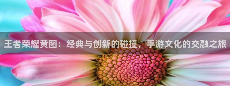 喵趣漫画网页官网：王者荣耀黄图：经典与创新的碰撞，手游文化的交融之旅