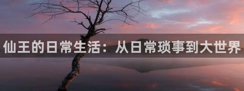 喵趣动漫安装：仙王的日常生活：从日常琐事到大世界