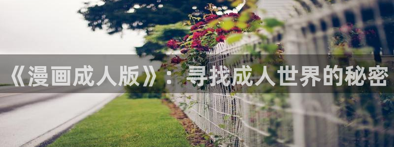 喵趣漫画下载人口：《漫画成人版》：寻找成人世界的秘密